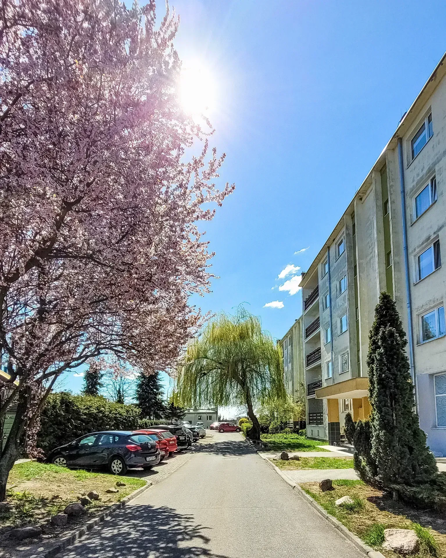 Osowa Góra | 3 pokoje | 65 m² | Loggia | Las 14